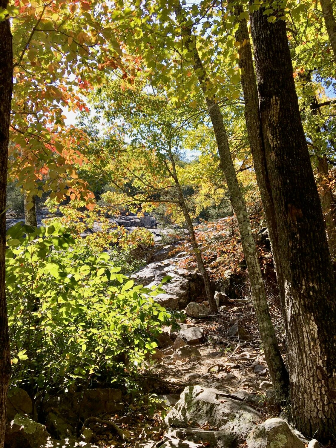 Rocky Falls is one of several hiking destinations in this year's fall hiking series within the Ozark National Scenic Riverways. Themed hikes will be guided by park rangers and held most Saturdays from Sept. 23 through Nov. 4.